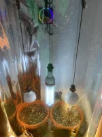 IMG_5745.webp IMG_5745.webp