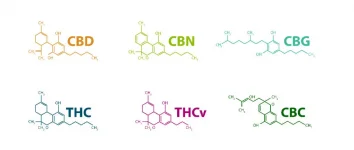 phytocannabinoids-1024x435.webp phytocannabinoids-1024x435.webp