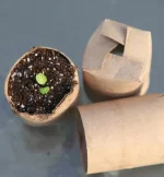 many_ways_to_use_toilet_paper_5.webp many_ways_to_use_toilet_paper_5.webp