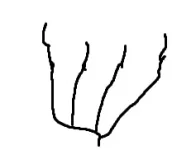 1754345308324.webp