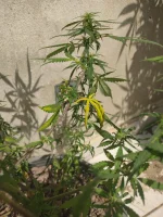IMG_20250814_141754.webp